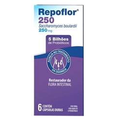 Repoflor 250mg C/6 Caps Leg