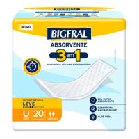 Absorvente Bigfral Regular Plus 20un